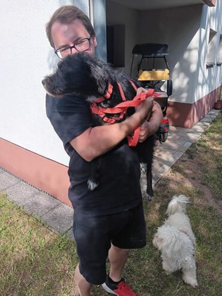 Löckchen-Stella 💛💛💛 liebes Zuhause gesucht