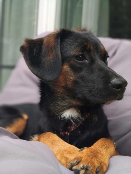 Fiona