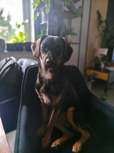 Fiona