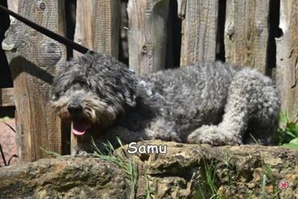 SAMU