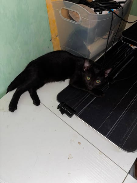 BLACKY