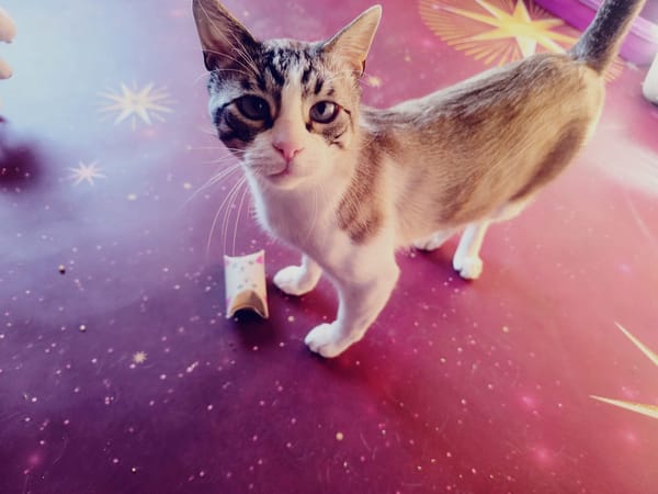 Ojitos