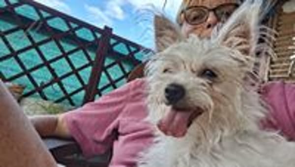Molly, je suis joyeuse et tendre