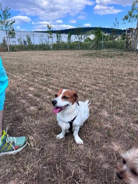 Süße Sally🌺 sucht liebevolles Zuhause