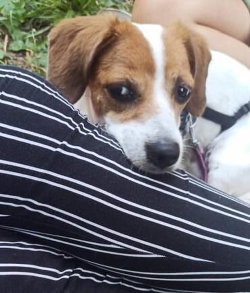 Süße Sally🌺 sucht liebevolles Zuhause