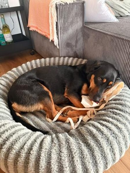 Wilma - Trennungsopfer