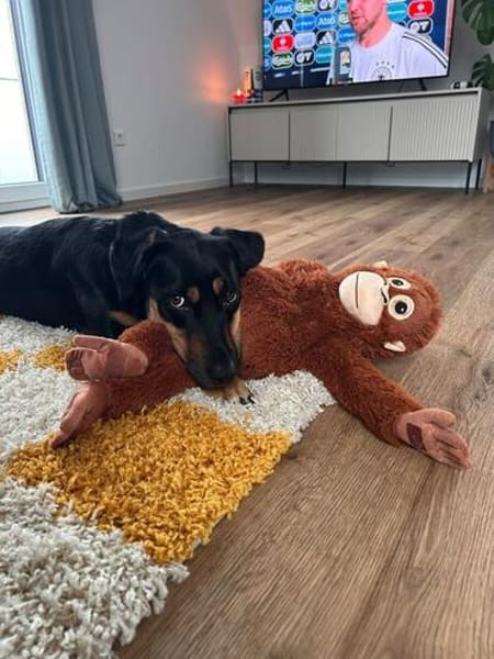 Wilma - Trennungsopfer