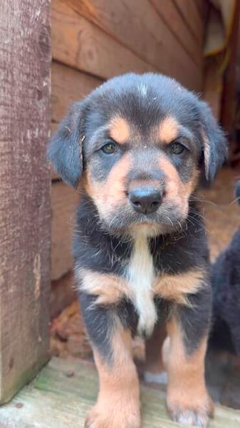 Mable auf Familiensuche