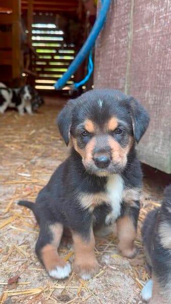 Mable auf Familiensuche