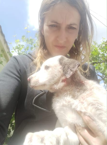 PIPPI