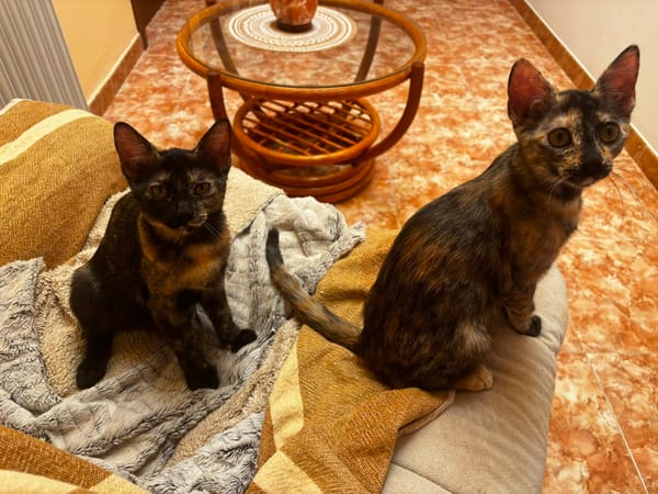 MENCHU et JANNIS