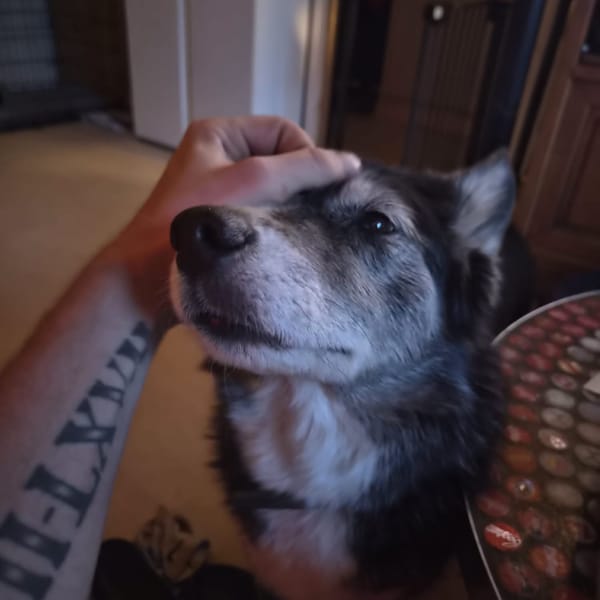 Kiara