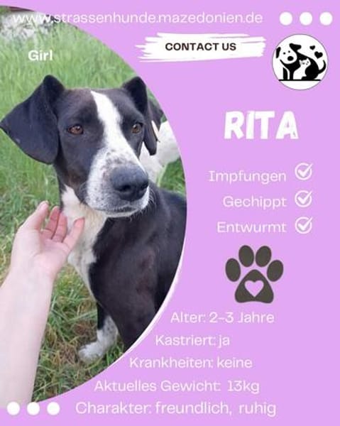 Rita  sucht ihr Zuhause