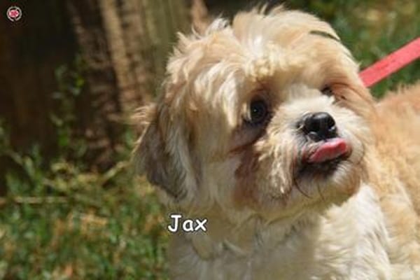JAX