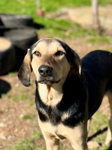 Hailey wartet auf ihre Herzensmenschen