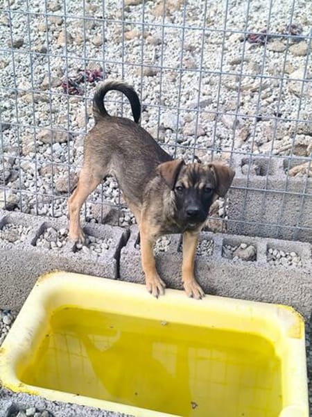 Lucy