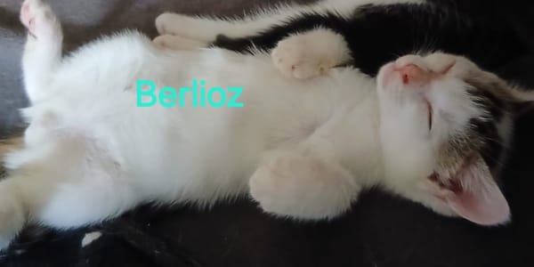 BERLIOZ chez Anne