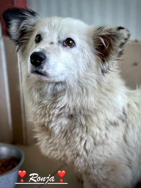 Ronja, voller Sehnsucht nach Liebe