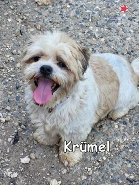 KRÜMEL