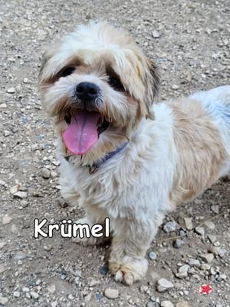 KRÜMEL