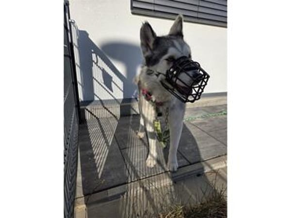 Ayla - VERZWEIFELTER HILFERUF!