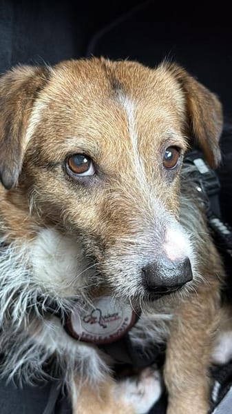 💕Mina💕sucht eine liebe Familie💕