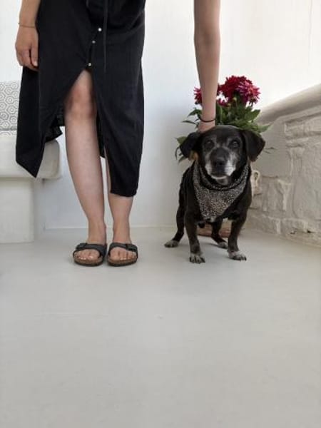 Small Ira, ruhige Hundeomi, ca. 15 Jahre,*in 55271*