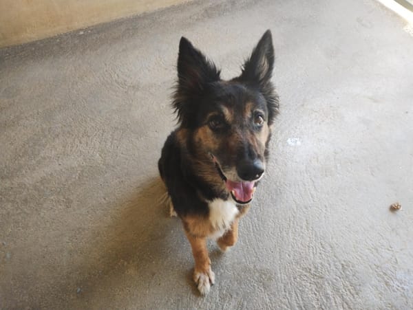 Xena