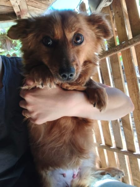 Coco