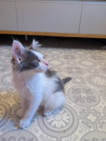 SIRIUS