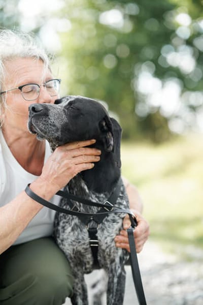 Renée  sensibler Deutsch Kurzhaar sucht ein  Zuhause