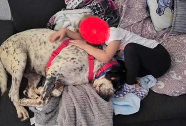 Traumhund Atenea auch mit Kindern PS D