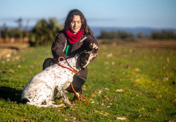Traumhund Atenea auch mit Kindern PS D