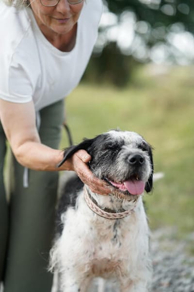 Adele  Charakterhund mit Ecken, Kanten und ganz viel Herz