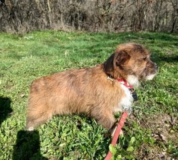 Matilda: kleiner Sonnenschein sucht DICH