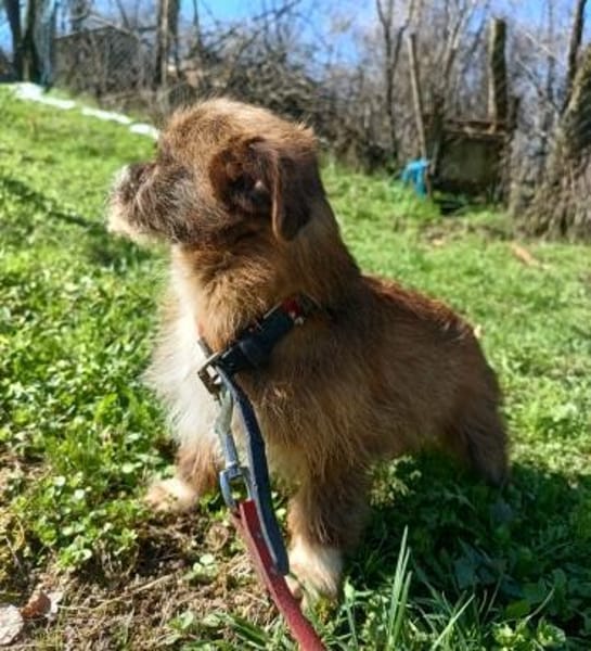 Matilda: kleiner Sonnenschein sucht DICH