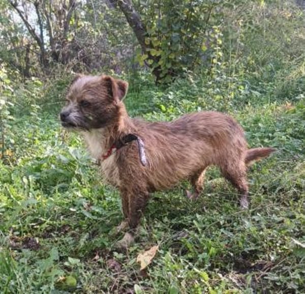 Matilda: kleiner Sonnenschein sucht DICH