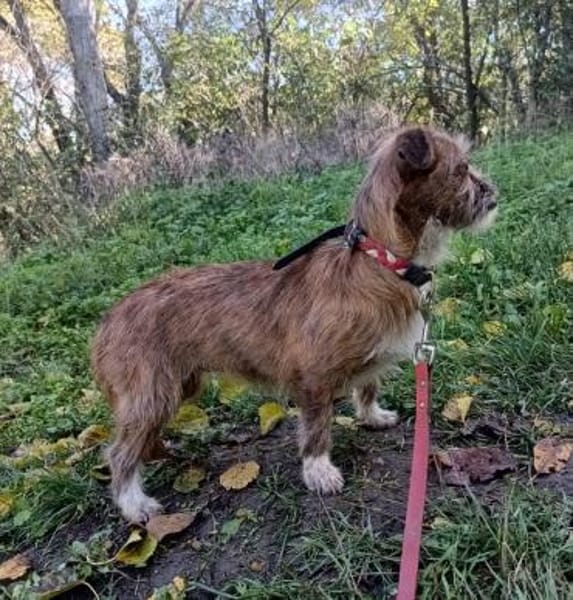 Matilda: kleiner Sonnenschein sucht DICH