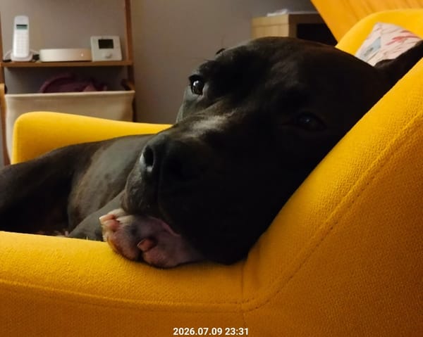 ULYSSE
