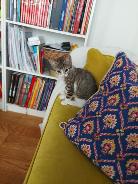 BIRLOU