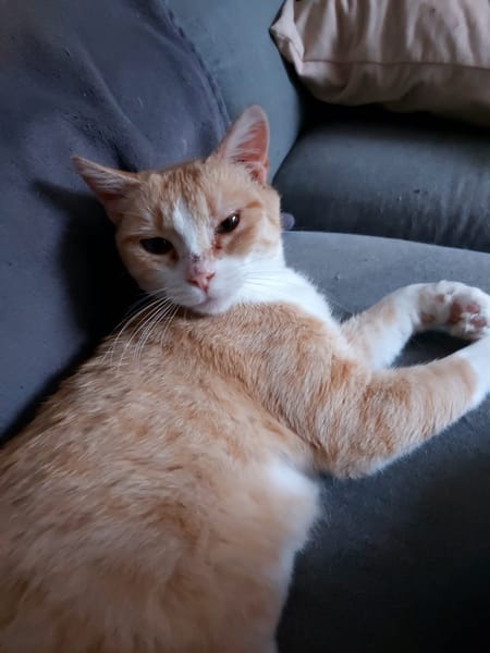 Baïka