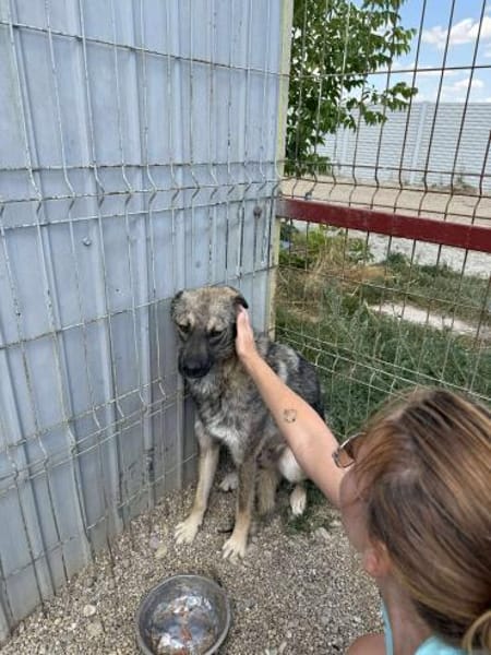 Der schüchterne Timmy sucht sein Glück!