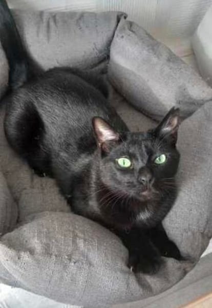 Billy der kleine Charmeur