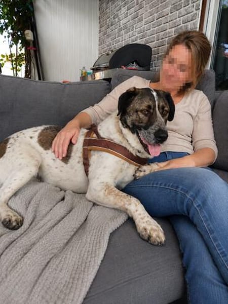 SEBI - ein toller Kerl möchte sein Herz verschenken!