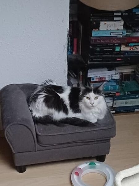 Traumhafte Fraya sucht Traumzuhause