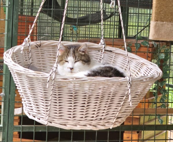MINET