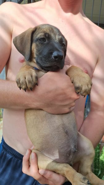 Banjo, notre trésor