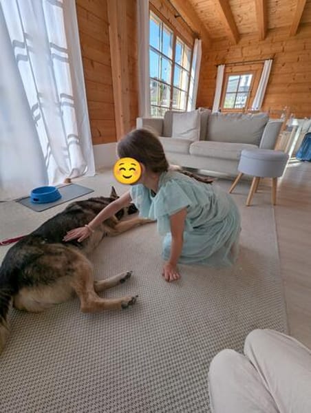 Schmusehündin Kira aus dem Tierschutz bei München!