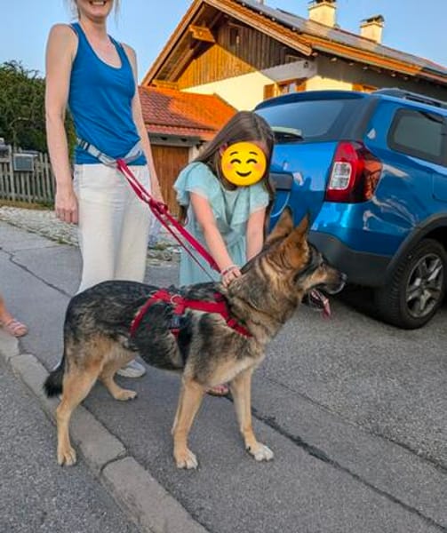 Schmusehündin Kira aus dem Tierschutz bei München!
