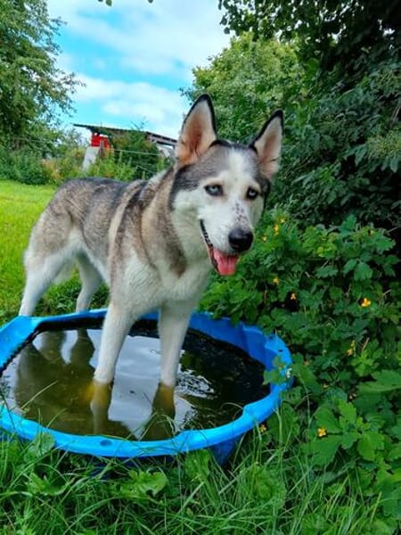 ARYA-WARTET AUF IHR HAPPY END